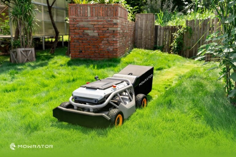 Robotic mower cutting a neat striped green lawn in warm sunlight