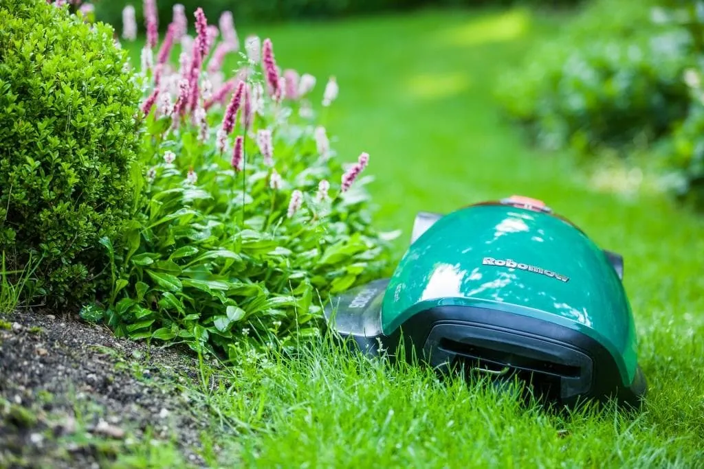 Robotic mower leaving finely mulched clippings on a freshly cut lawn